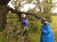 Dan Dorrough; Ruth Bennett McDougal Dorrough; IAT; Lapham Peak Segment, WI